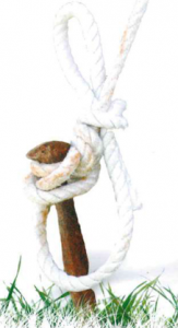 Chord attached to a stake