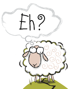 Sheep saying "Eh?"